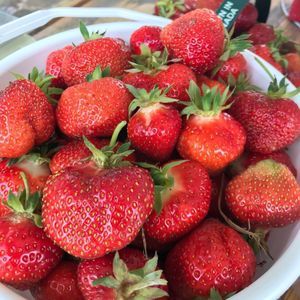 Meet your Posher, Rhoda